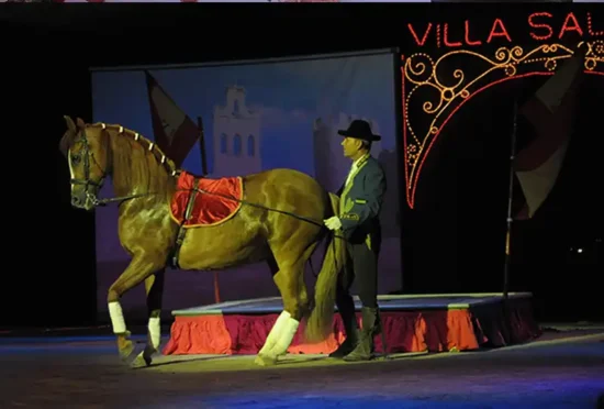 Villa salada Espectáculo de caballos españoles y flamenco