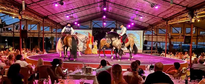 Villasalada espectáculos de caballos flamencos en torrevieja